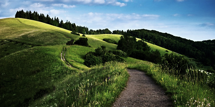 El lado bueno de las&nbsp;cosas